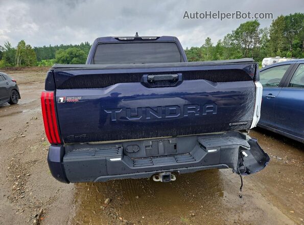 5TFWC5DB5SX112653 2025 TOYOTA TUNDRA Blue უკანა ხედი