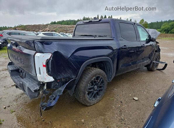 5TFWC5DB5SX112653 2025 TOYOTA TUNDRA Blue უკანა მარჯვენა