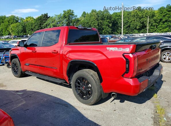 5TFWC5DB6RX043644 2024 TOYOTA TUNDRA Красный Задняя левая четверть