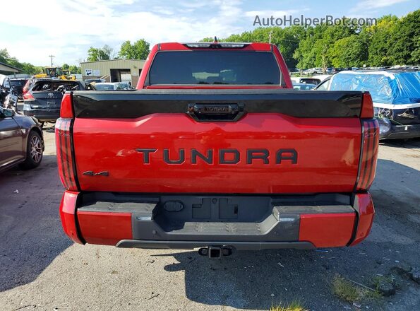5TFWC5DB6RX043644 2024 TOYOTA TUNDRA Красный Вид сзади
