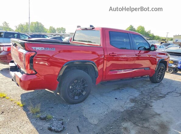 5TFWC5DB6RX043644 2024 TOYOTA TUNDRA Красный Задняя правая четверть