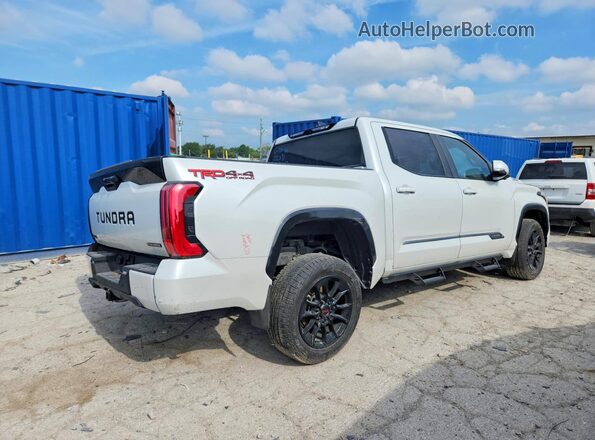 5TFWC5DB6SX091022 2025 TOYOTA TUNDRA White Trasero derecho