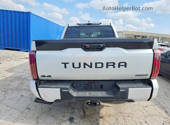 5TFWC5DB6SX091022 2025 TOYOTA TUNDRA White Vista trasera