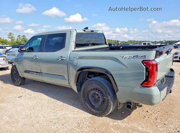 5TFWC5DB7TX114325 2026 TOYOTA TUNDRA Gray Հետևի ձախ