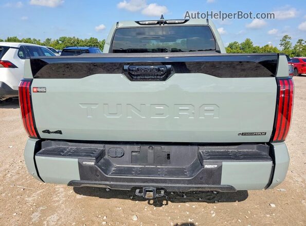 5TFWC5DB7TX114325 2026 TOYOTA TUNDRA Gray Հետևի տեսք