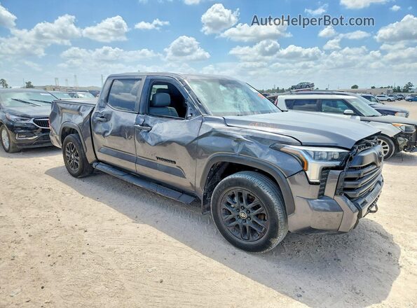 5TFZA5AB1SX048134 2025 TOYOTA TUNDRA Gray Передня права чверть