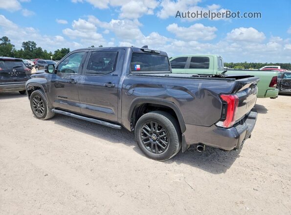 5TFZA5AB1SX048134 2025 TOYOTA TUNDRA Gray Задня ліва чверть