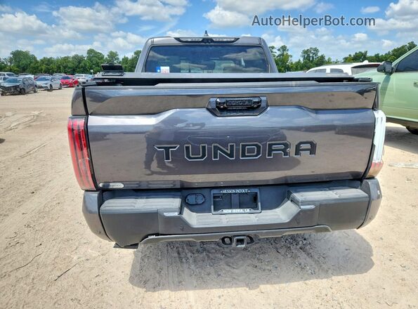 5TFZA5AB1SX048134 2025 TOYOTA TUNDRA Gray Вид салону спереду