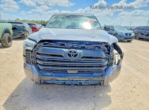 5TFZA5AB1SX048134 2025 TOYOTA TUNDRA Gray Вид ззаду