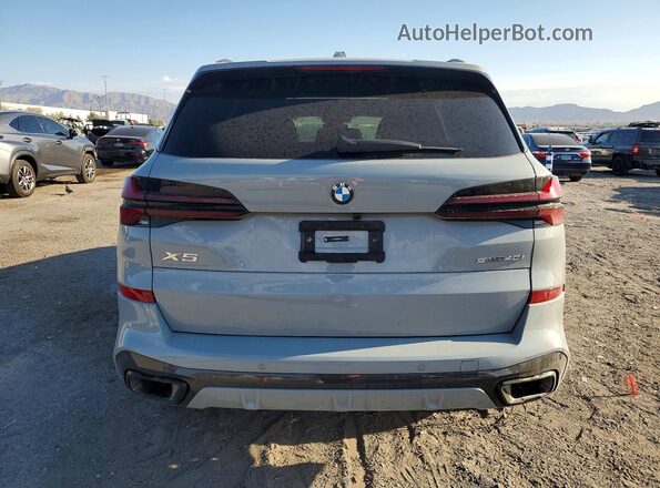 5UX13EU02T9306005 2026 BMW X5 Серый Вид сзади