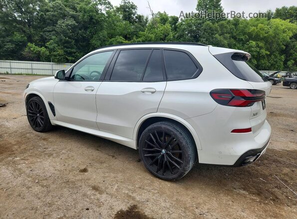 5UX13EU06R9U66221 2024 BMW X5 Белый Задняя левая четверть