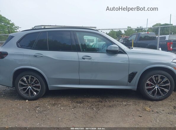 5UX23EU00R9U22025 2024 BMW X5 Blue Vista interior trasera