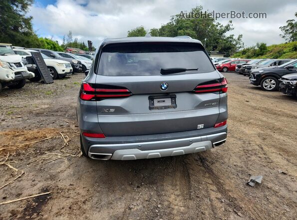 5UX23EU00S9Z59063 2025 BMW X5 Gray Вид ззаду