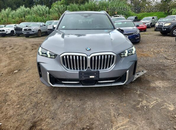 5UX23EU00S9Z59063 2025 BMW X5 Gray Вид спереду