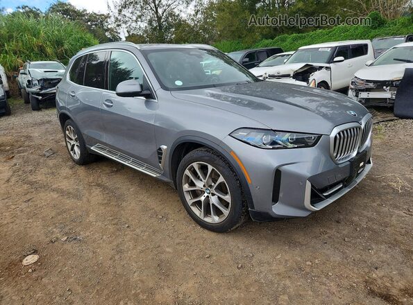 5UX23EU00S9Z59063 2025 BMW X5 Gray Передня права чверть