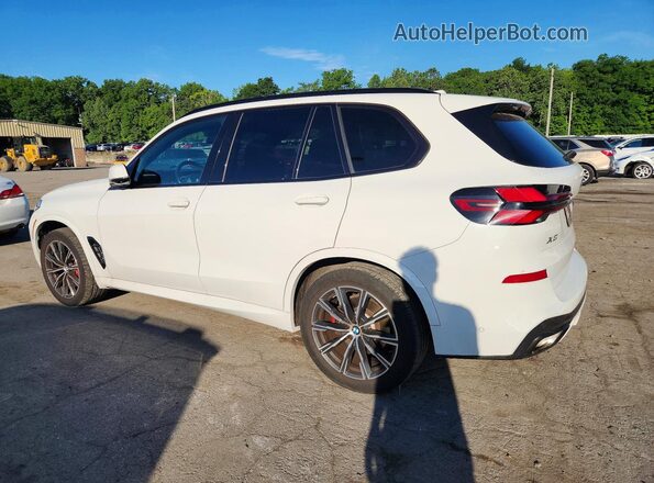 5UX23EU04R9S31966 2024 BMW X5 Белый Задняя левая четверть