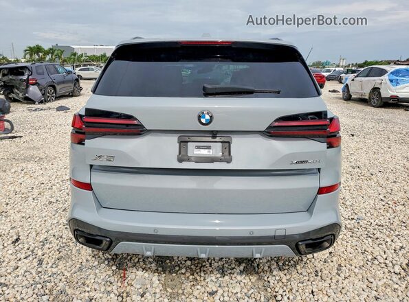 5UX23EU07S9X98498 2025 BMW X5 Серый Вид сзади