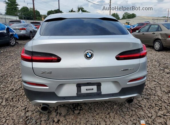 5UX2V1C05L9B46276 2020 BMW X4 Серый Вид сзади