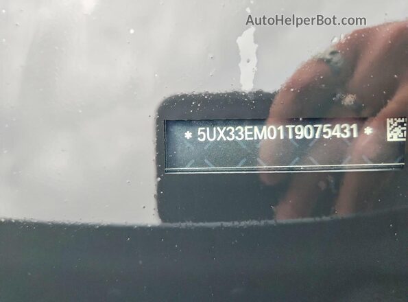 5UX33EM01T9075431 2026 BMW X7 Gray Vista de la etiqueta del VIN