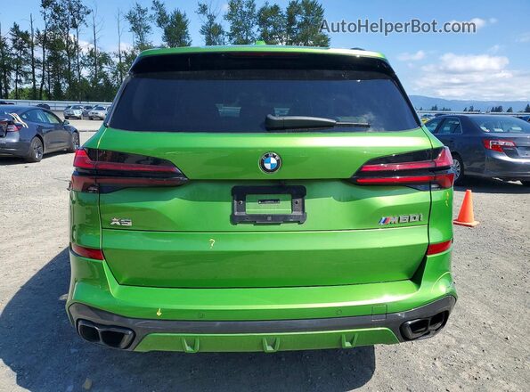 5UX33EU05R9U01899 2024 BMW X5 Green Widok z tyłu