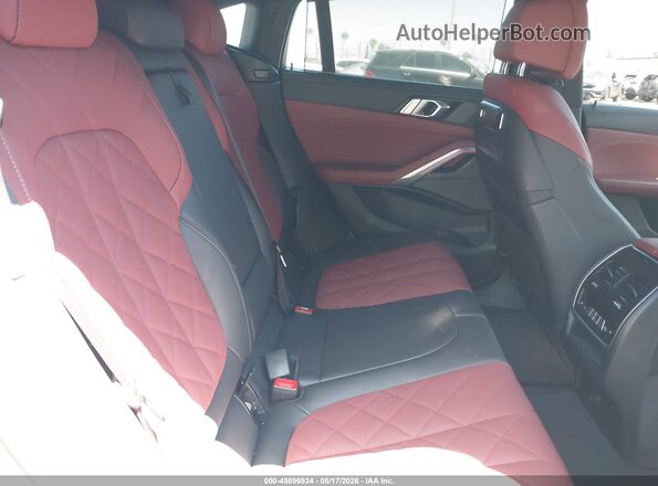 5UX33EX03R9S44739 2024 BMW X6 Gray Widok naklejki z numerem VIN