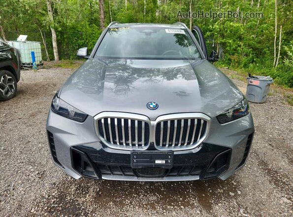 5UX43EU03R9V48131 2024 BMW X5 Серебряный Вид спереди