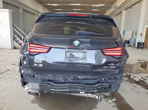 5UX53DP0XP9R74163 2023 BMW X3 Black Вид ззаду