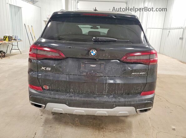 5UXCR6C01P9N98699 2023 BMW X5 Black Widok z tyłu