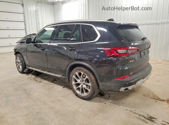 5UXCR6C01P9N98699 2023 BMW X5 Black Tył lewy