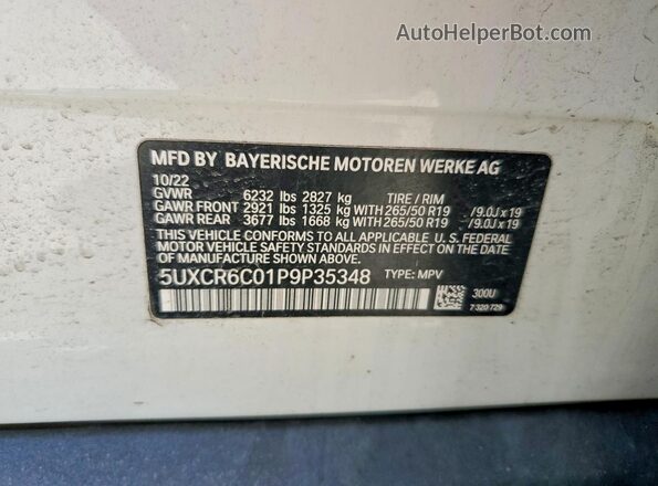 5UXCR6C01P9P35348 2023 BMW X5 Белый Вид наклейки с VIN-кодом