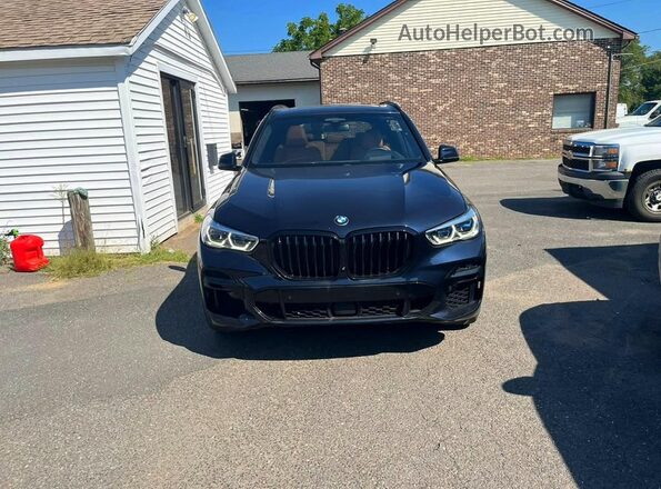 5UXCR6C01P9P71587 2023 BMW X5 Black Widok z przodu