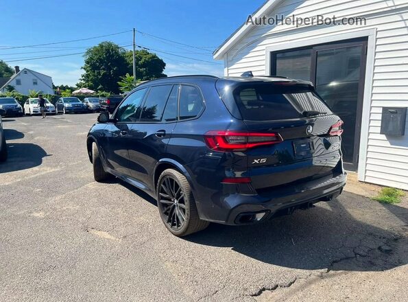 5UXCR6C01P9P71587 2023 BMW X5 Black Tył lewy