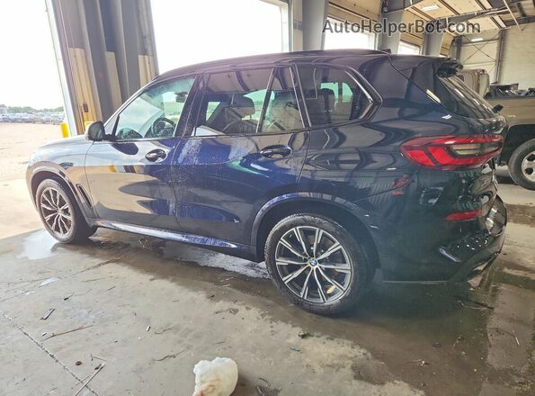 5UXCR6C03P9R96139 2023 BMW X5 Черный Задняя левая четверть