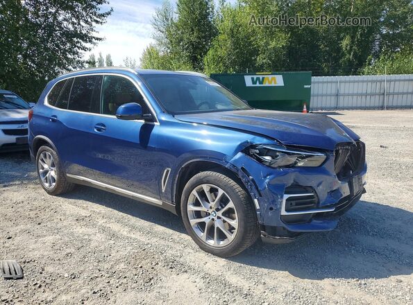 5UXCR6C04P9R12619 2023 BMW X5 Blue Передня права чверть