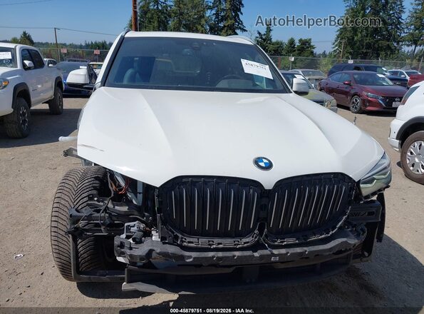 5UXCR6C06L9B49466 2020 BMW X5 Белый Вид задней части салона