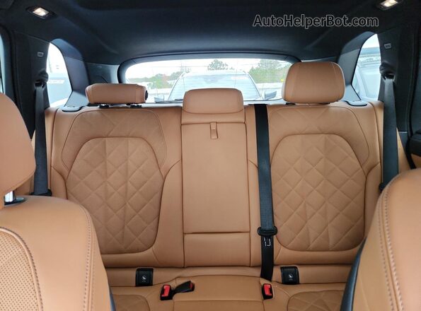 5UXCR6C06P9P30758 2023 BMW X5 Blue უკანა სავარძლების ხედი
