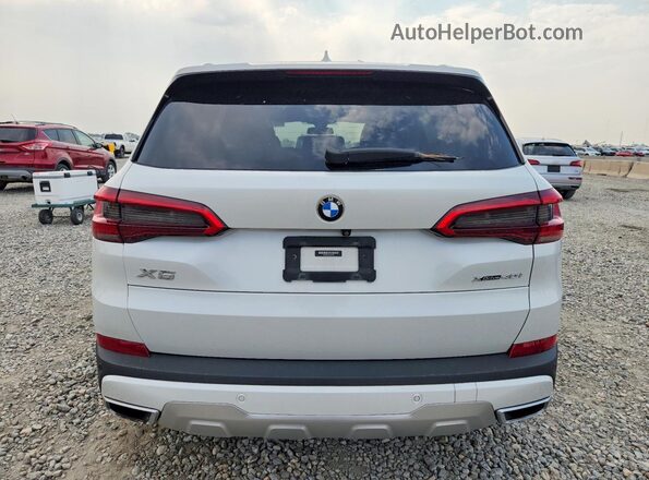 5UXCR6C0XLLL81522 2020 BMW X5 Белый Вид сзади