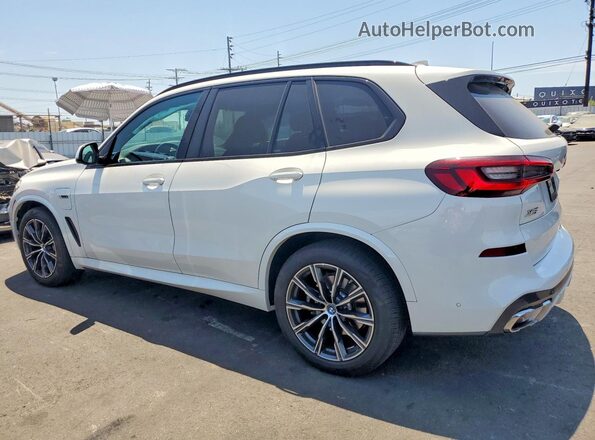 5UXTA6C00P9N60789 2023 BMW X5 Белый Задняя левая четверть