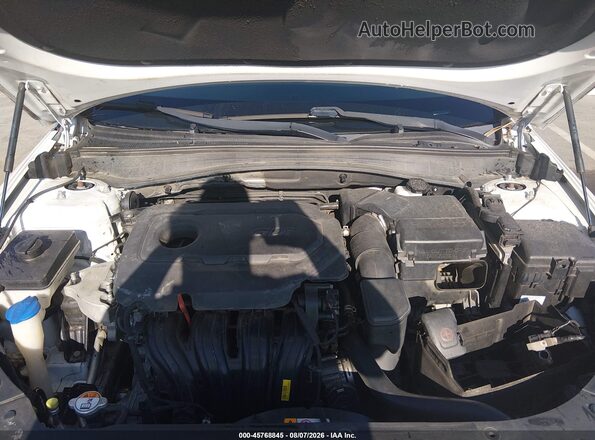 5XXGT4L30GG033124 2016 KIA OPTIMA White Вид ззаду