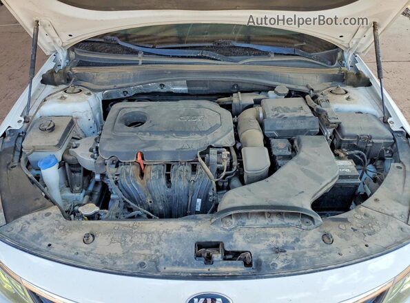 5XXGT4L35LG390633 2020 KIA OPTIMA White Սալոնի հետևի տեսք