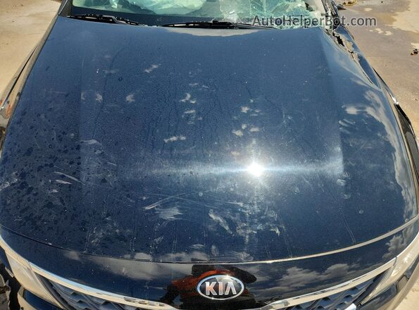 5XXGT4L35LG442519 2020 KIA OPTIMA Black Սալոնի հետևի տեսք