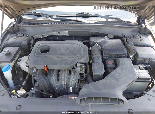 5XXGU4L33GG009221 2016 KIA OPTIMA Gray Widok z tyłu