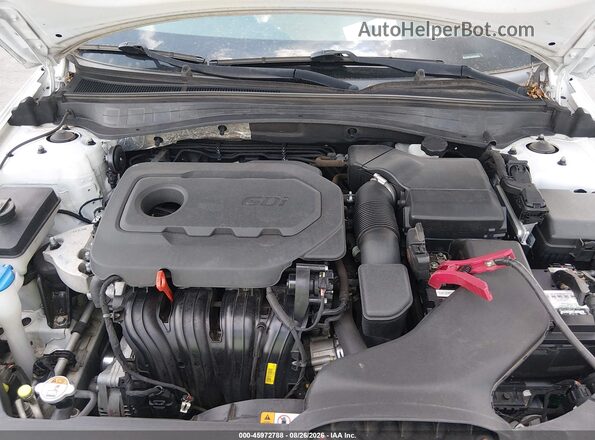 5XXGU4L34GG033544 2016 KIA OPTIMA White უკანა ხედი