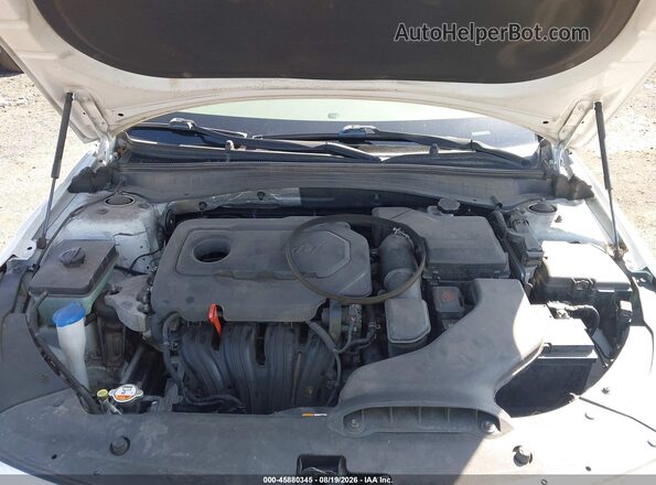 5XXGU4L39GG098843 2016 KIA OPTIMA Белый Вид сзади