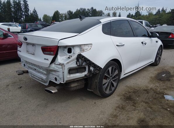 5XXGV4L26GG034893 2016 KIA OPTIMA White Tył prawy