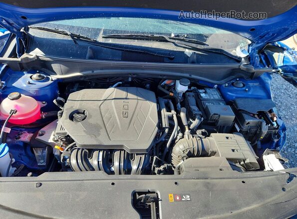 5XYK3CDF0SG265563 2025 KIA SPORTAGE Blue Vista interior trasera