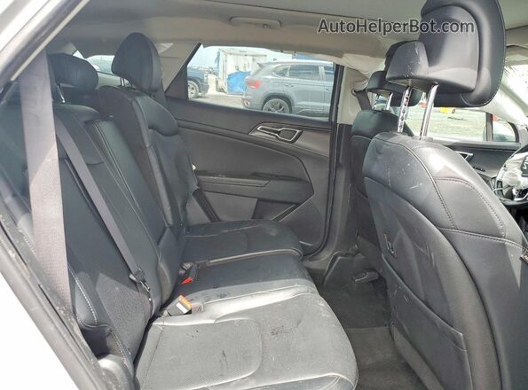 5XYK43DFXRG218810 2024 KIA SPORTAGE Угольный Вид задней части салона