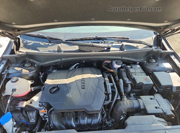 5XYK53DF8RG173492 2024 KIA SPORTAGE Black Вид задньої частини салону