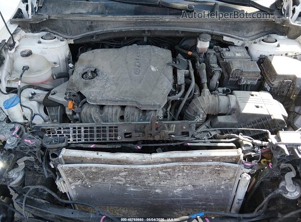 5XYK5CDF0RG143175 2024 KIA SPORTAGE White Rear view