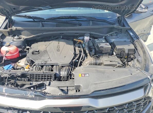 5XYK6CDF3RG172487 2024 KIA SPORTAGE Серый Вид задней части салона